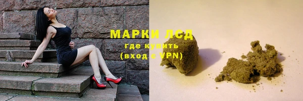 сатива Арсеньев