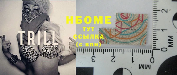 сатива Арсеньев