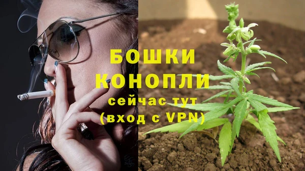 сатива Арсеньев