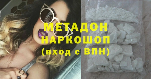 сатива Арсеньев