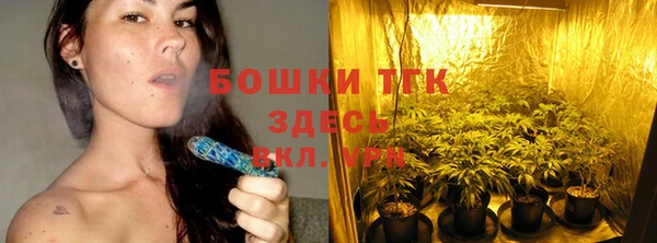 прущие крисы Аркадак