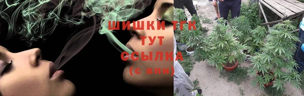 сатива Арсеньев