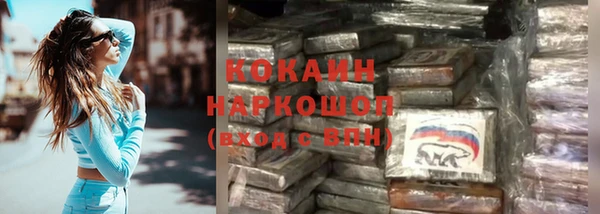 сатива Арсеньев